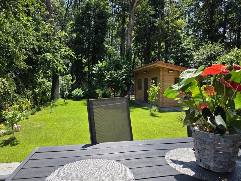 Forest Lifestyle, vila premium in Mogosoaia.